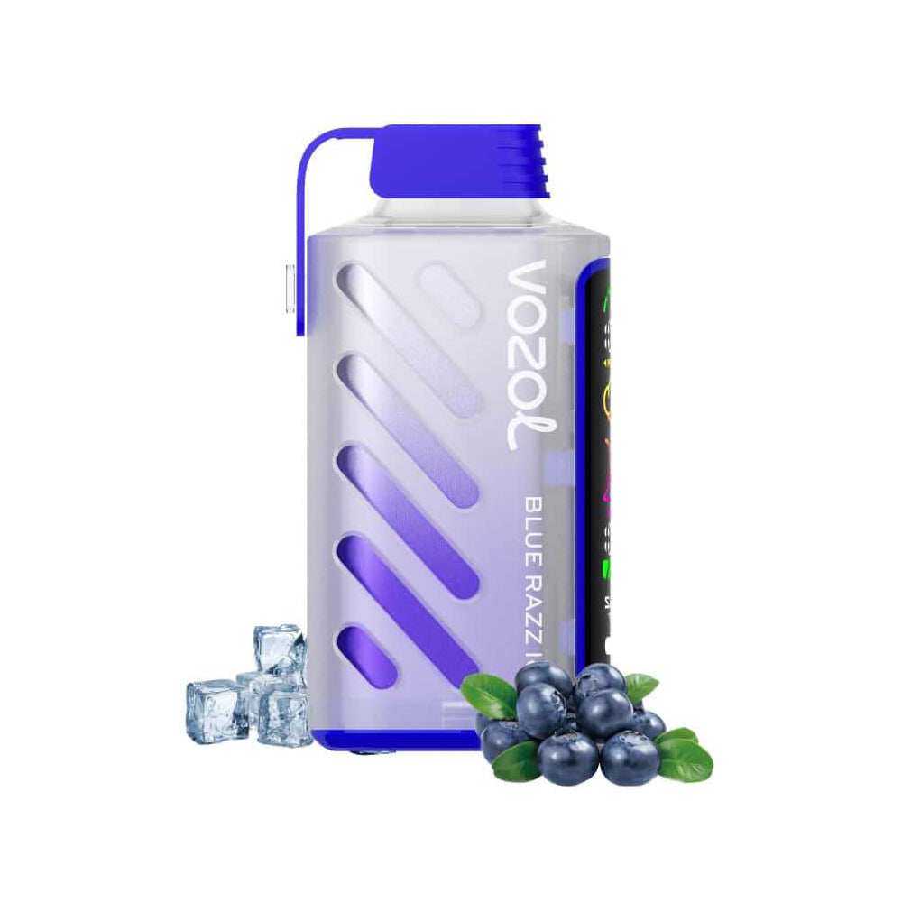 VOZOL GEAR 20000 Blue Razz Ice