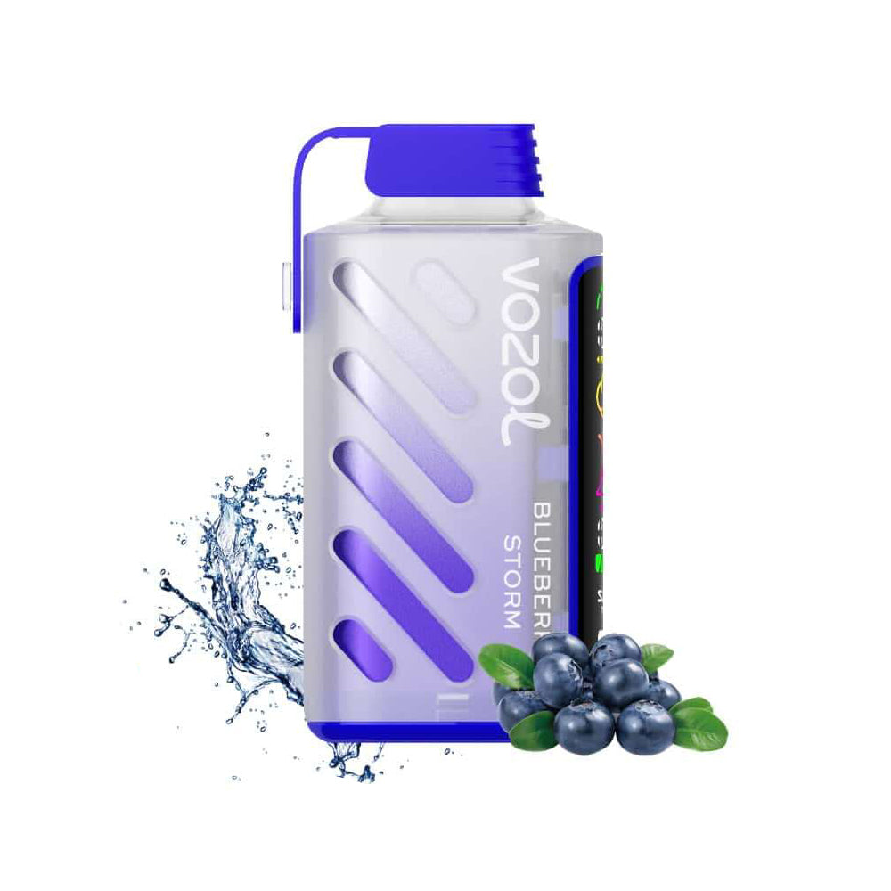VOZOL GEAR 20000 Blueberry Strom