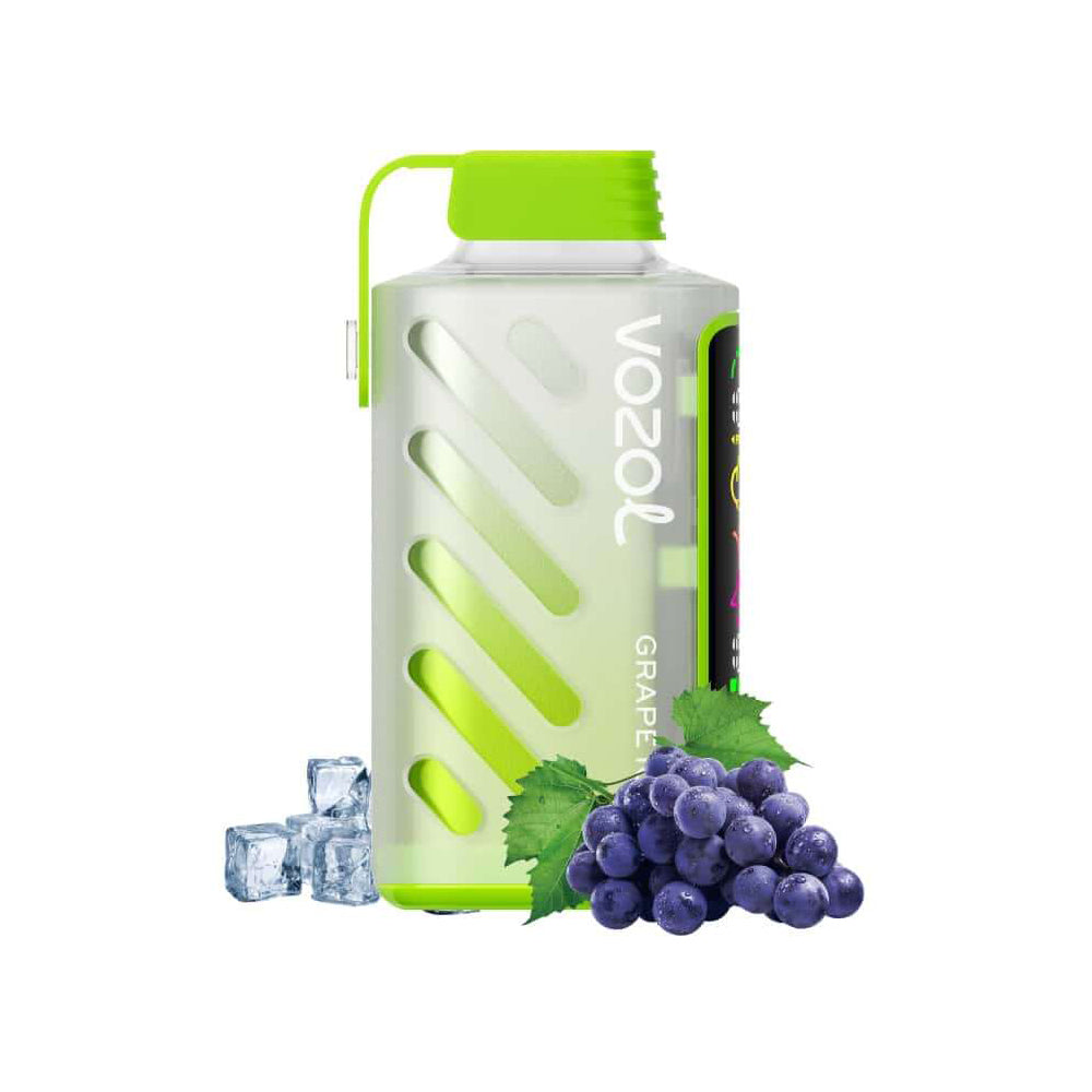 VOZOL GEAR 20000 Grape Ice