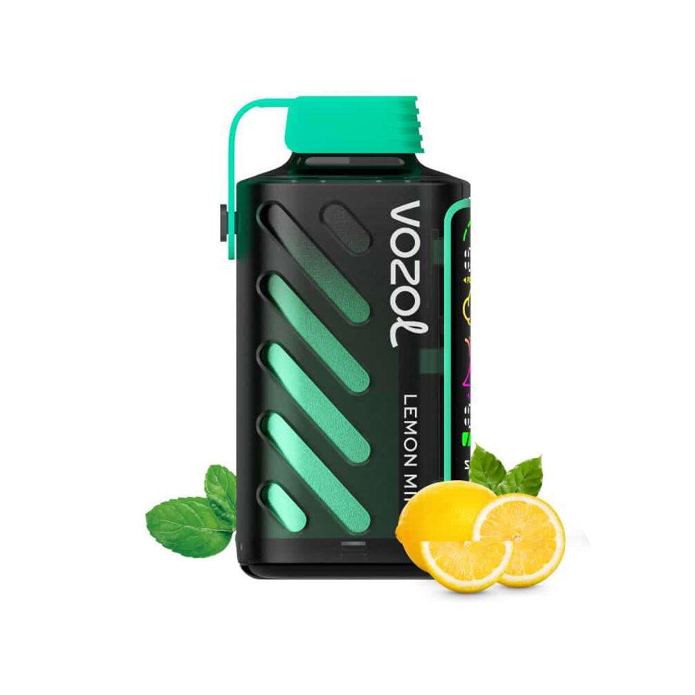 VOZOL GEAR 20000 Lemon Mint
